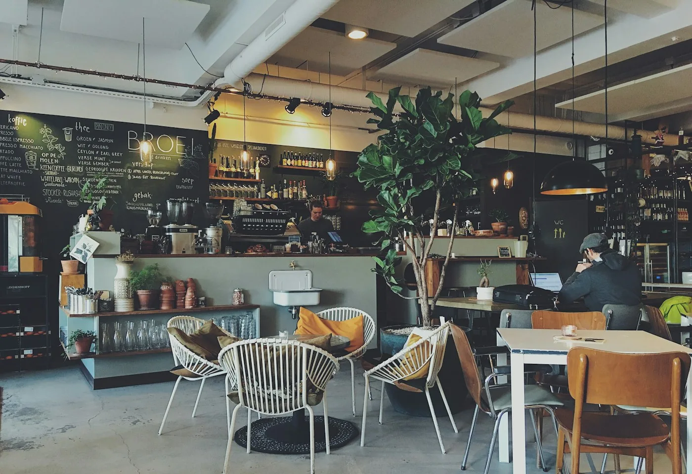 ร้านกาแฟสว่าง มีต้นไม้ เคาน์เตอร์ และที่นั่งสบาย